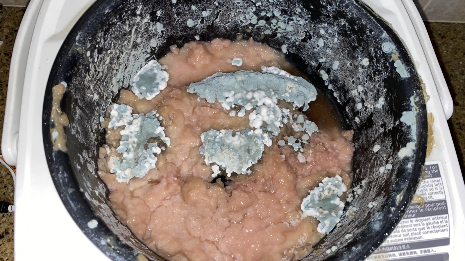 Roommate Slammed for Leaving Rice Rotting Into 'Brain-like Tissue' in Kitchen