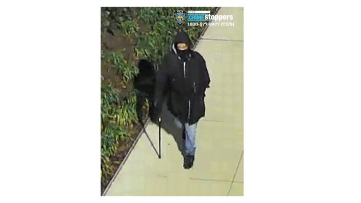 New York City, subway, attacker