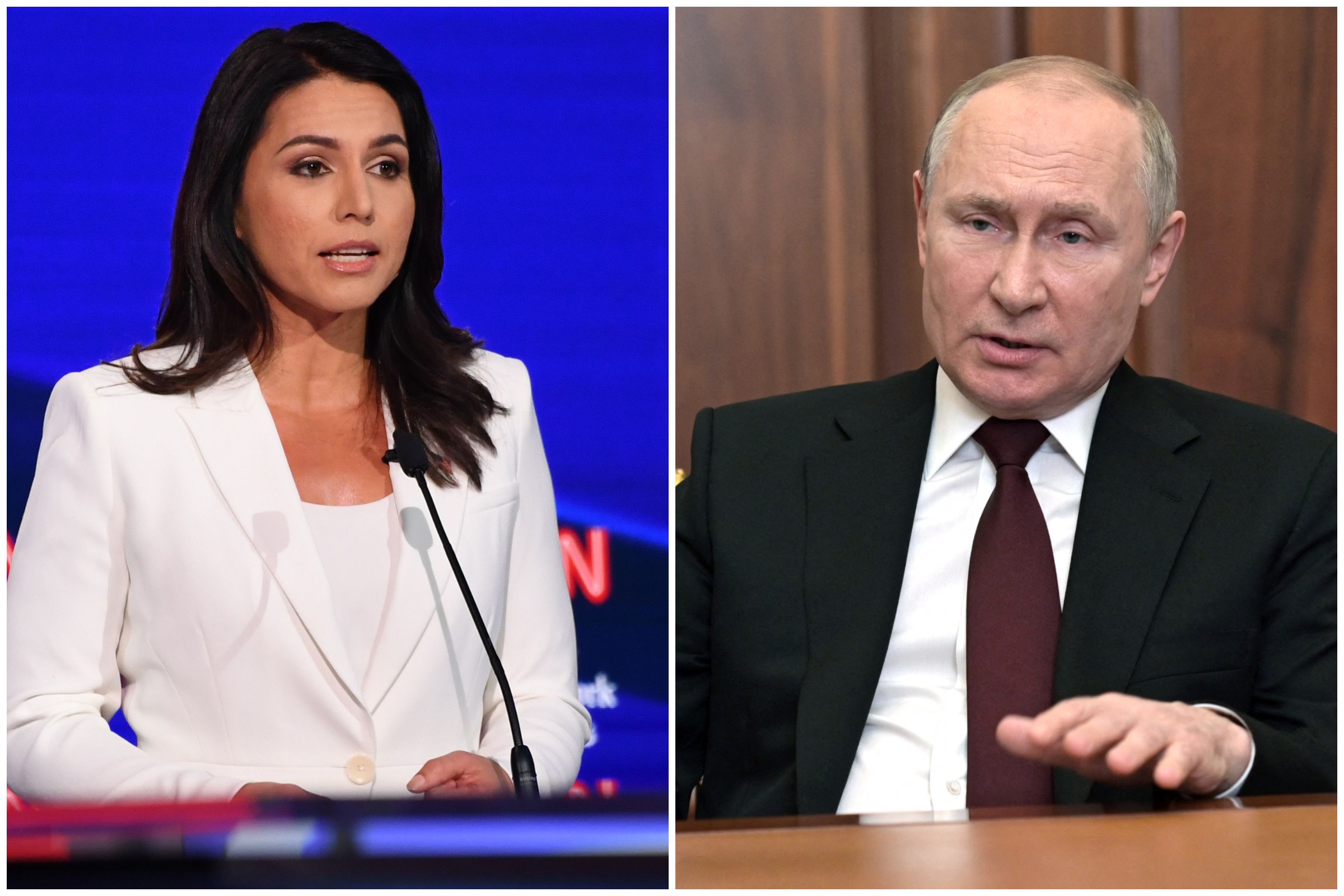 Tulsi Gabbard Wavers On Ukraine War Support, Pleads With Putin To ...