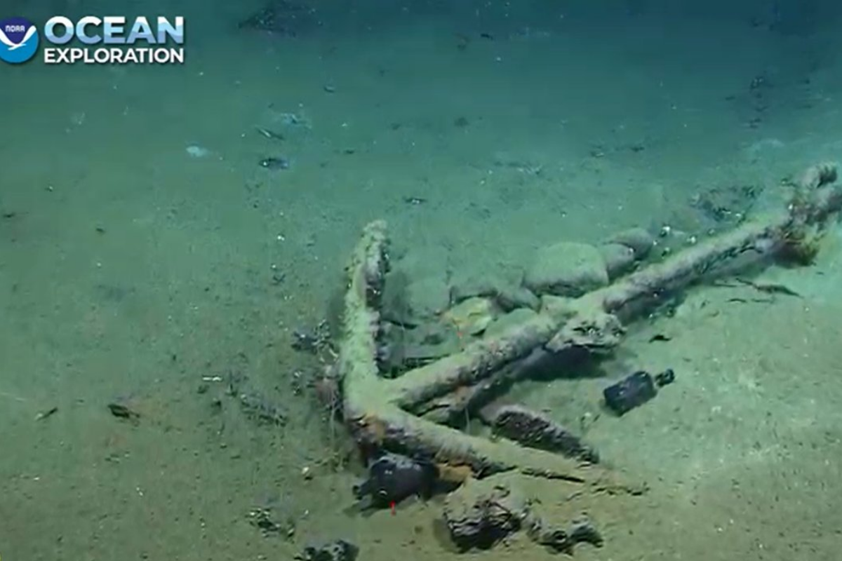 Footage Shows 200 Year Old Whaler Shipwreck Discovered Off Florida