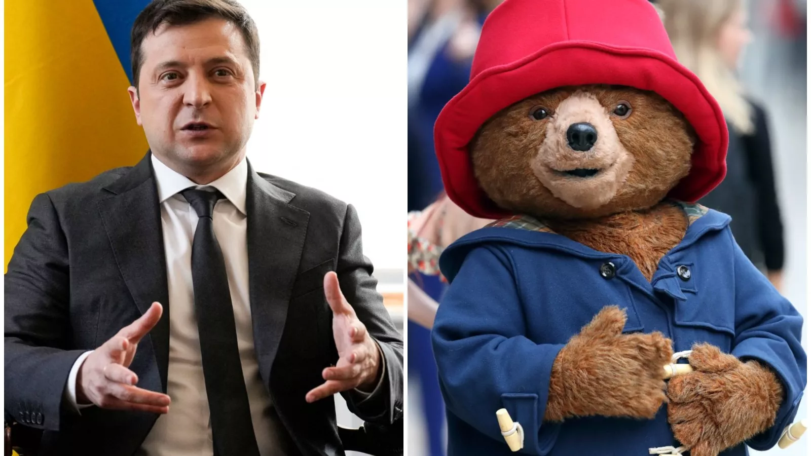 Video Of Ukrainian President Volodymyr Zelensky Voicing Paddington Bear Goes Viral Video Of Ukrainian President Volodymyr Zelensky Voicing Paddington Bear Goes Viral