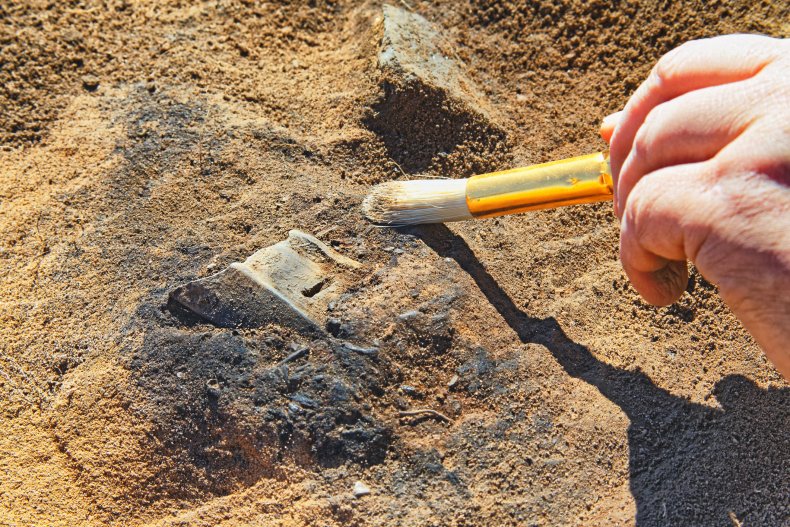 Archaeology