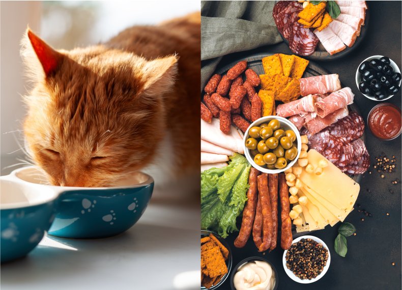 Cat eating and charcuterie board