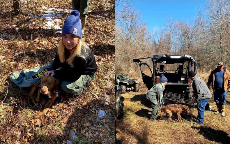 A dog was found by his owner.