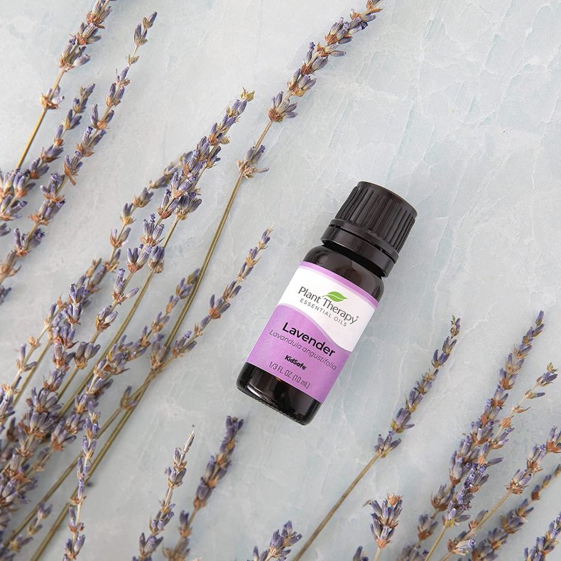 Plant Therapy Essential Oil
