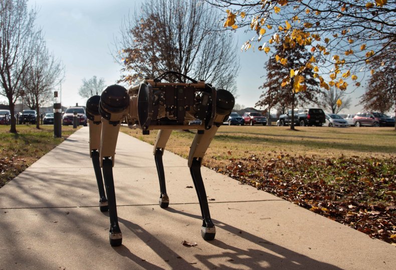 All byte, no bark for 'robotic K-9'