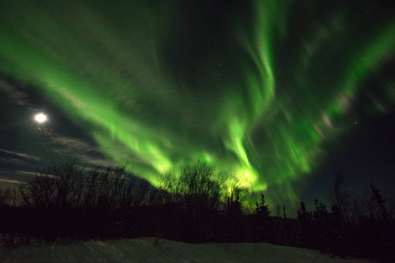The aurora borealis seen above Fairbanks, Alaska