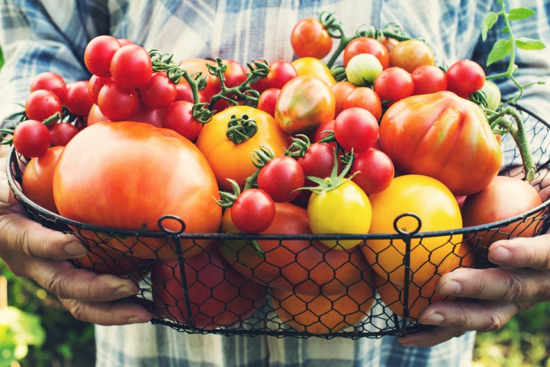 A basket full of different tomato varieties.
