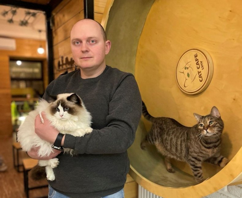 Cat cafe