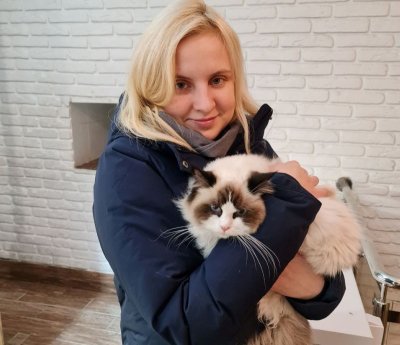 Cat cafe Cat cafe