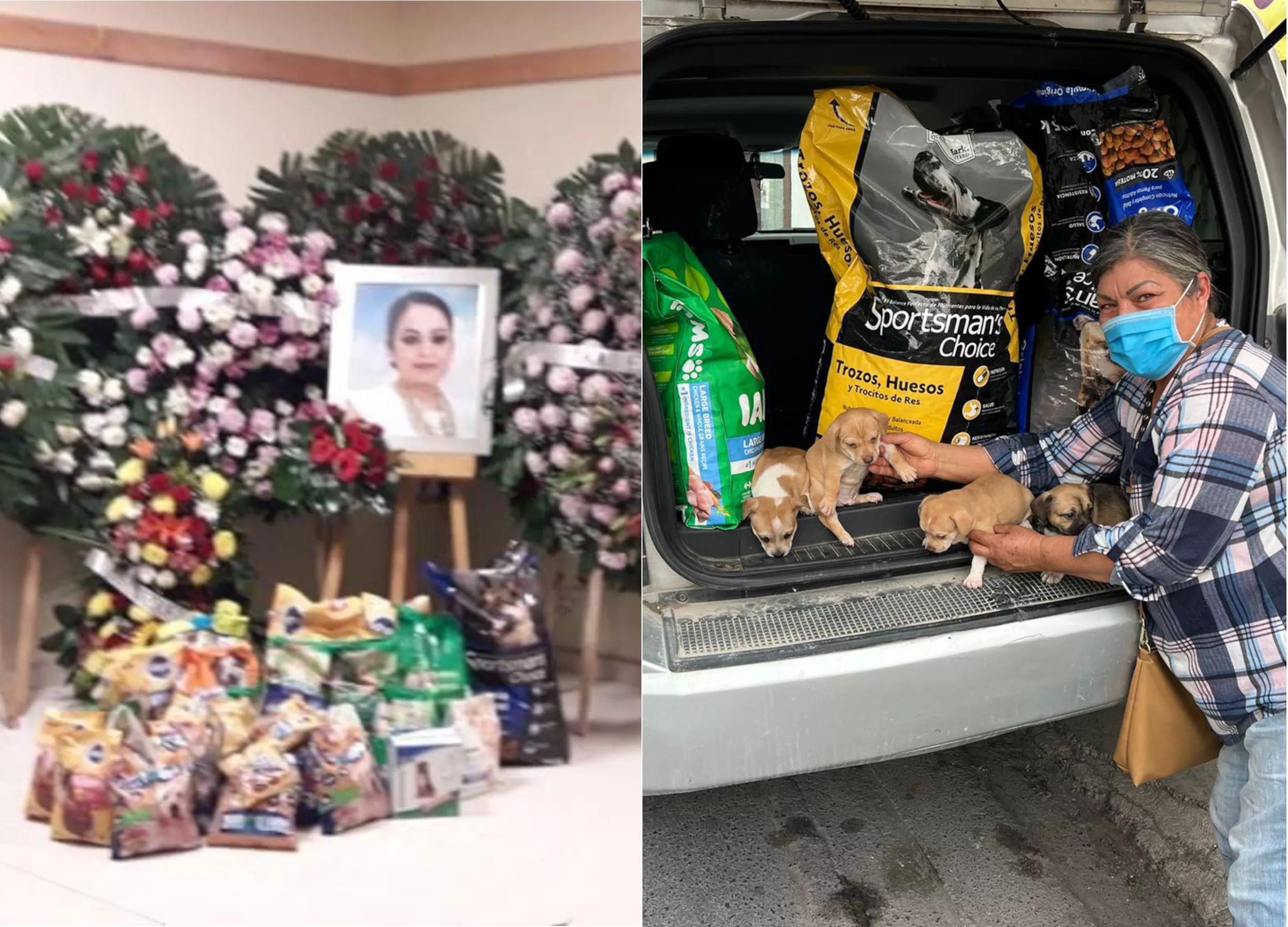Woman's Final Heartwarming Wish Helps Animals in Need - Vimarsana News