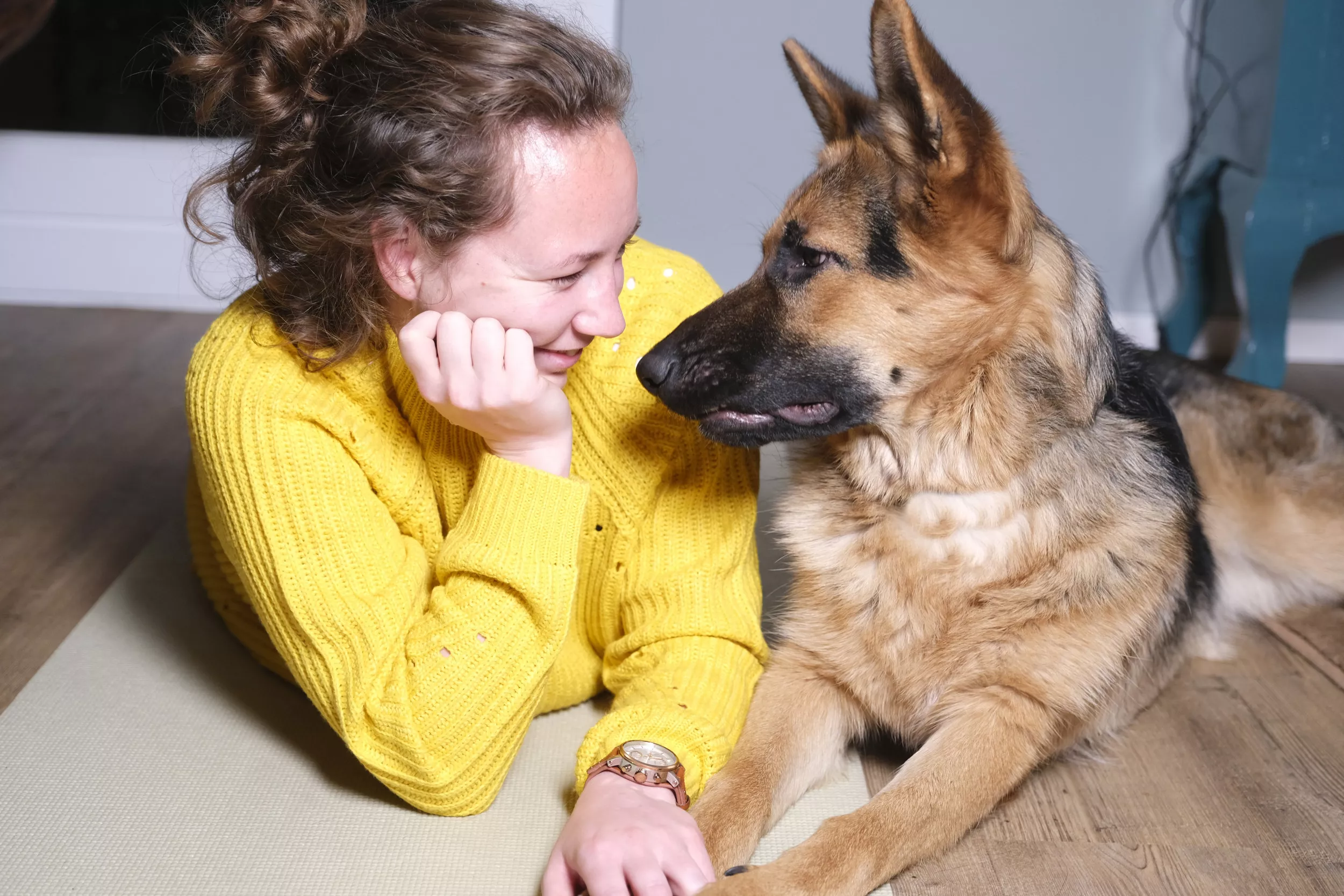 'Pawfect Match': Dog Adopting Her New Owner Melts Hearts Online - Vimarsana News
