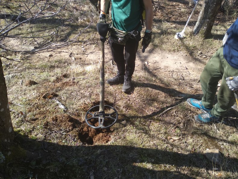 Metal Detector