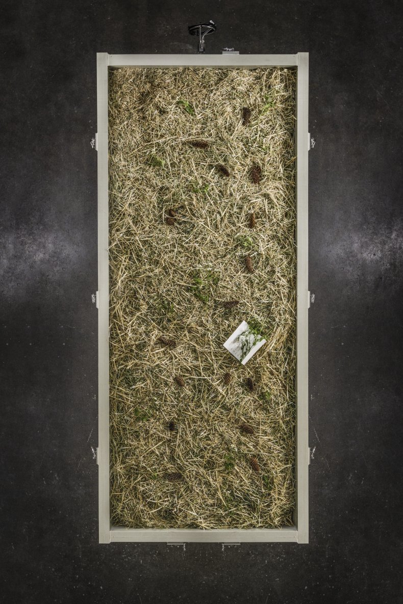 Human Composting Allows Bodies To Become Soil