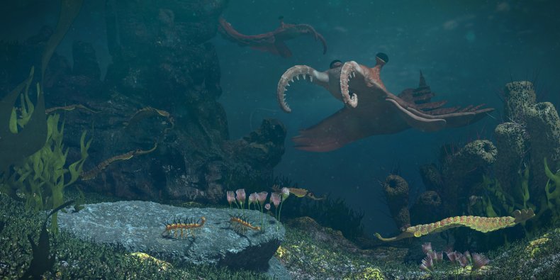 Artist's impression of the early Cambrian explosion