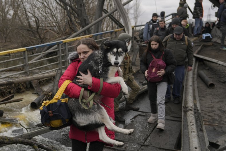 Woman flees Irpin with dog