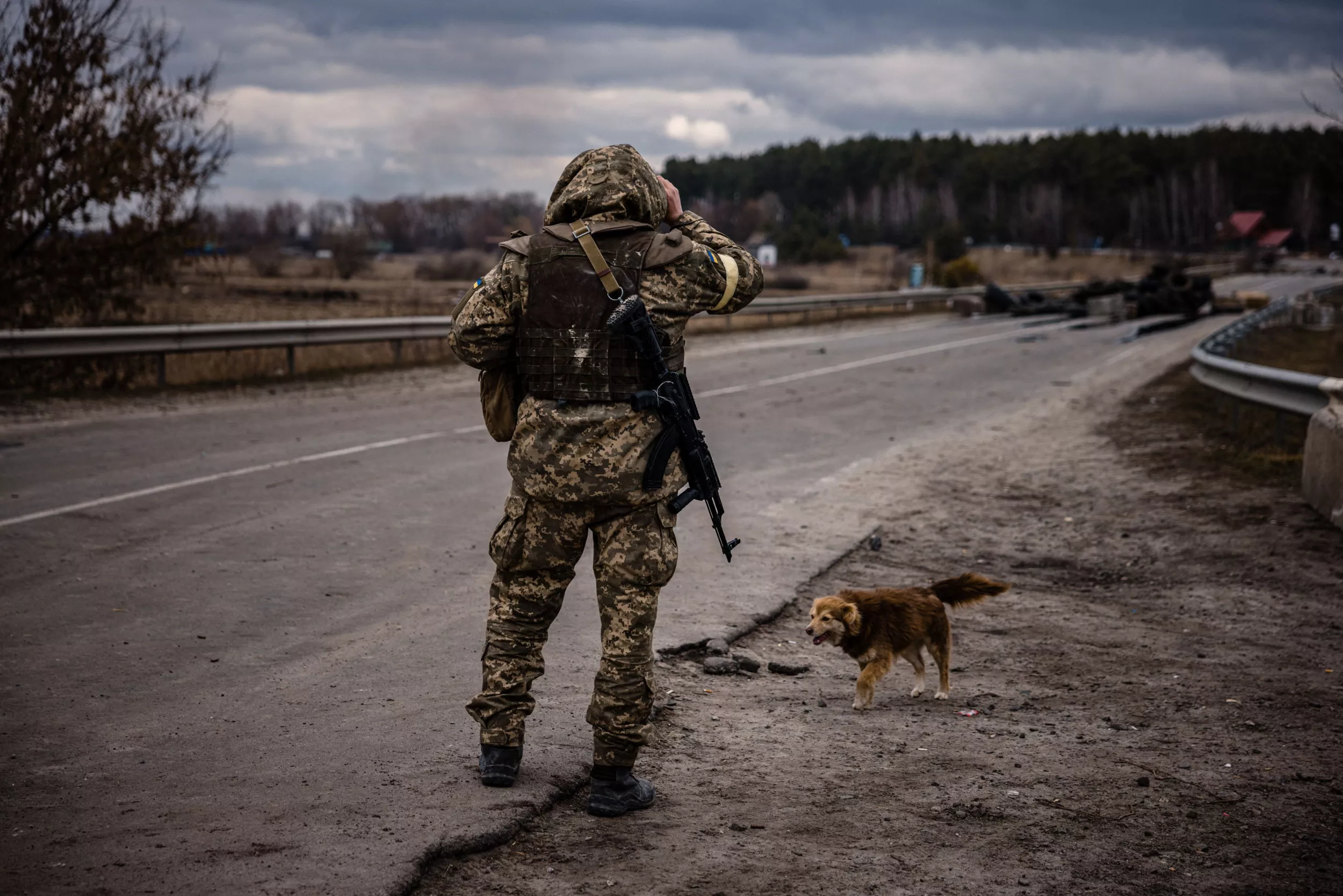 Ukrainians Left 'to Our Own Devices' in Russia War as No-Fly Zone Rejected - Vimarsana News