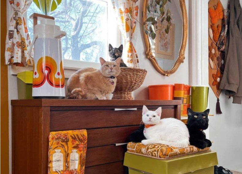 70s inspired interior loved online