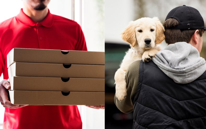 Pizza delivery dog theft