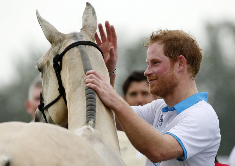 Prince Harry Polo