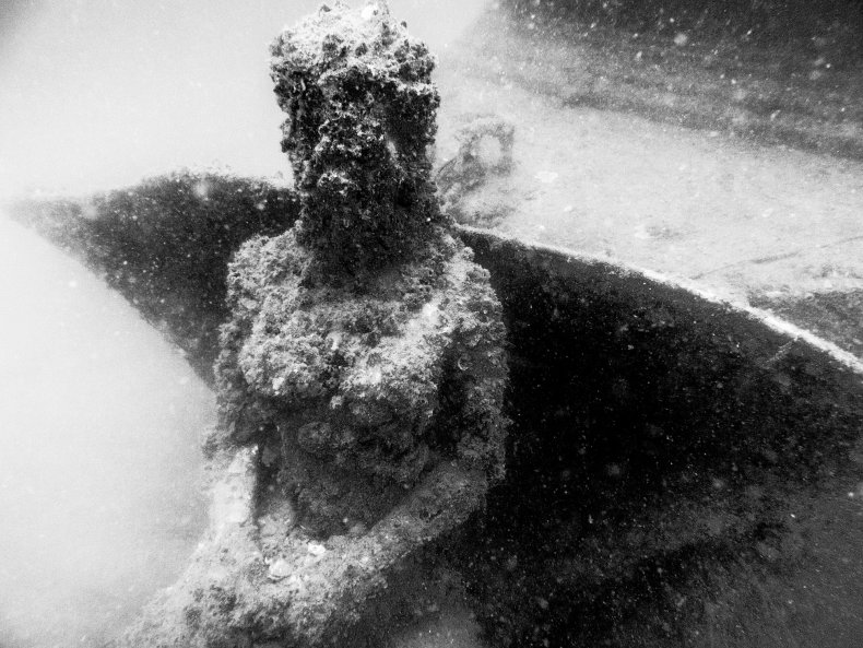 An underwater mermaid statue