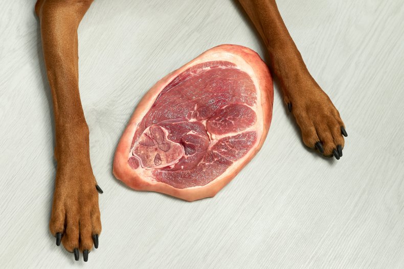 Dog paws and steak