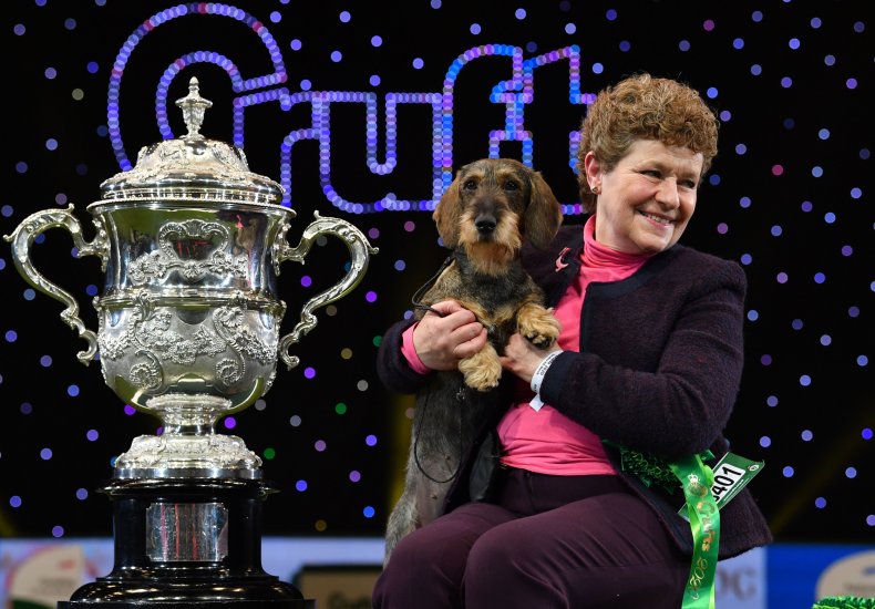 Best in Show winner at Crufts 2020 