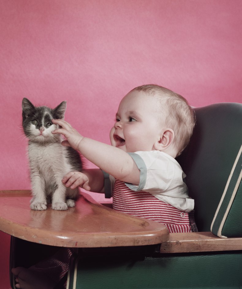 Baby and Cat Snuggle in Heartwarming Video
