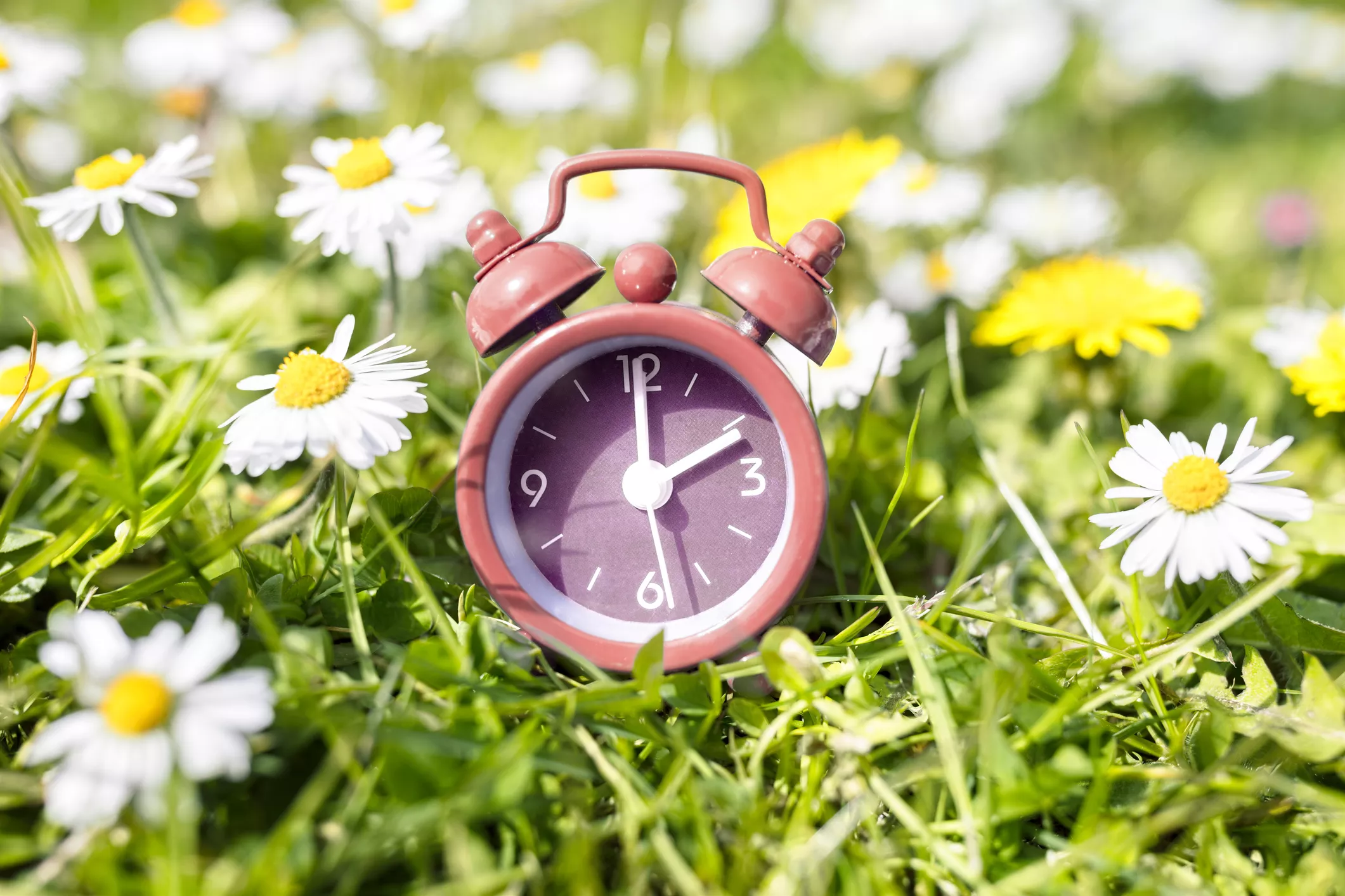 Daylight Saving 2022: What Time Do the Clocks Go Forward Tonight? - Vimarsana News