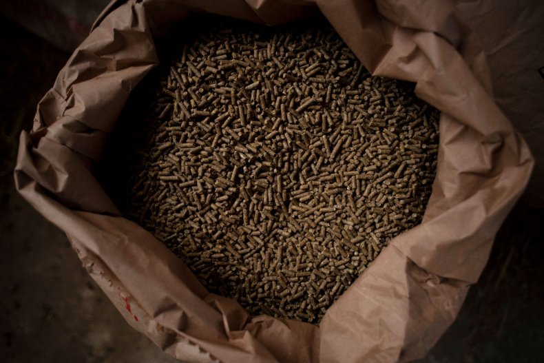 Wheat Prices