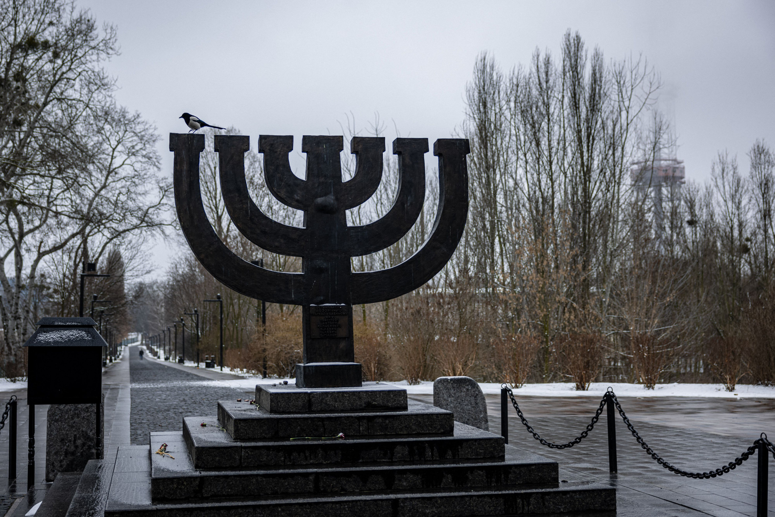 Ukrainian Family Who Hid Girl During Holocaust Now Helped by Her Grandchild Ukrainian Family Who Hid Girl During Holocaust Now Helped by Her Grandchild