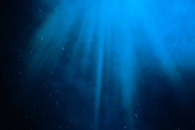 ocean stock