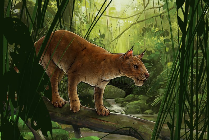 Diegoalerus
