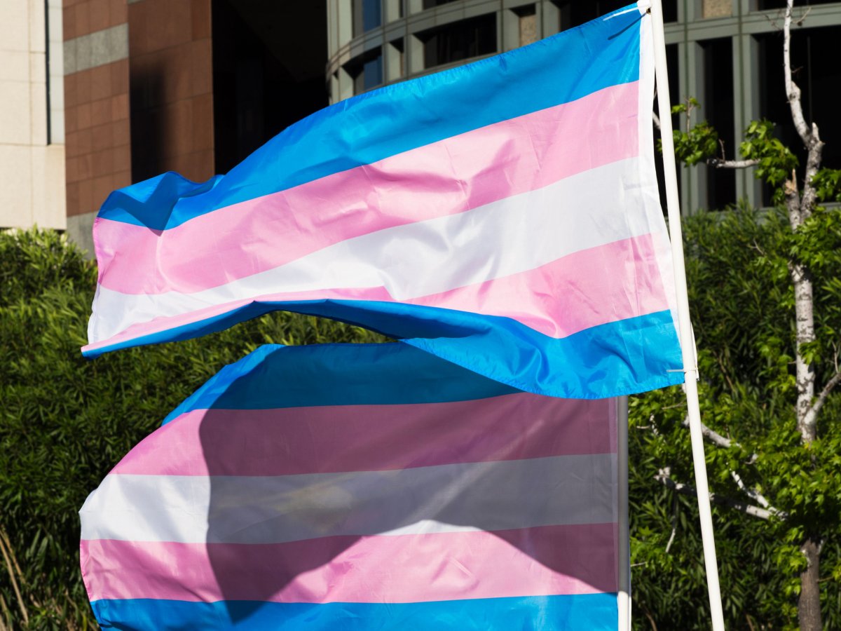 Alabama Transgender Minors Schools Healthcare