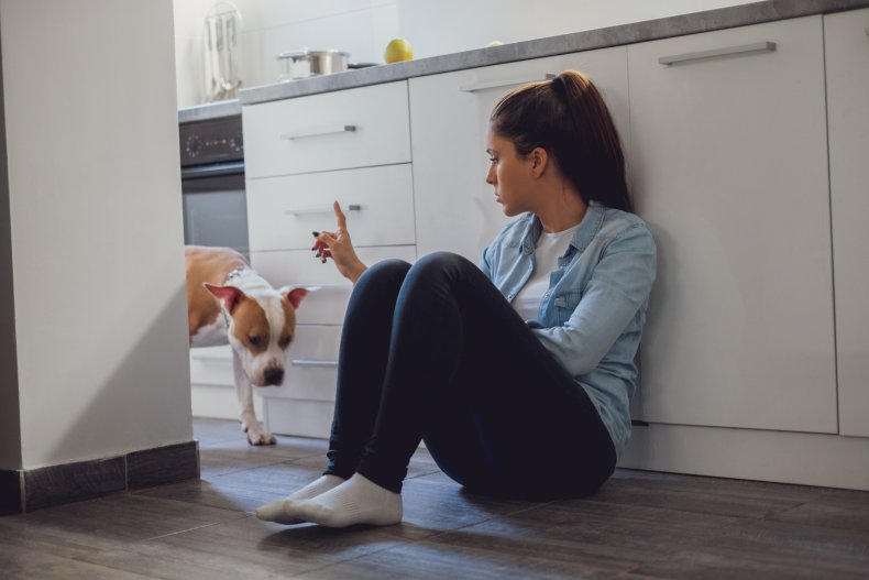 Woman bans dogs from vacation home