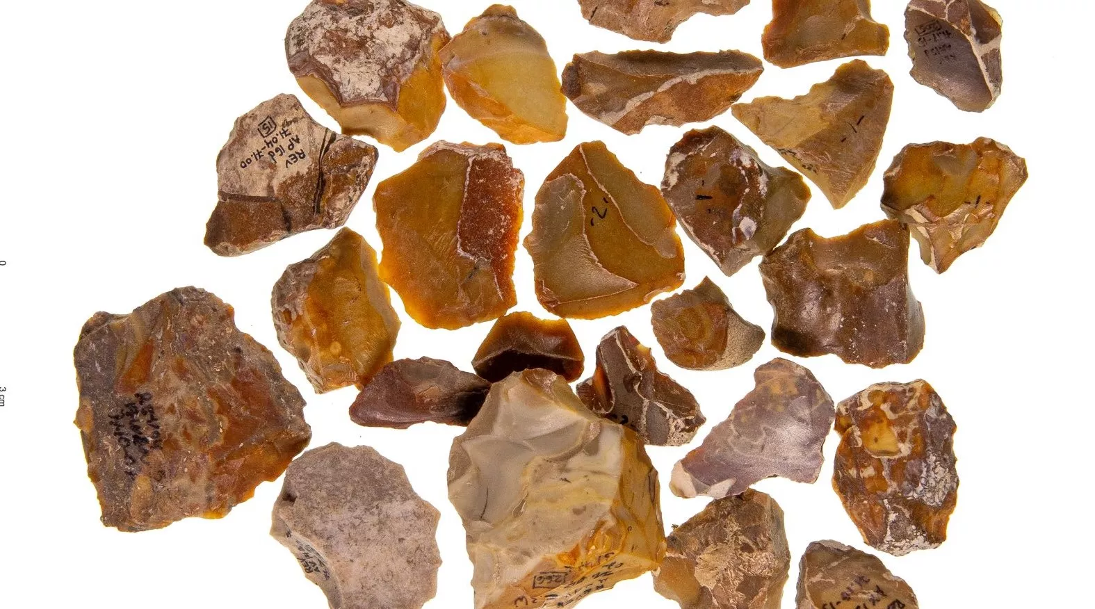 Prehistoric Humans Recycled Old Tools, Possibly to Honor Ancestors - Vimarsana News
