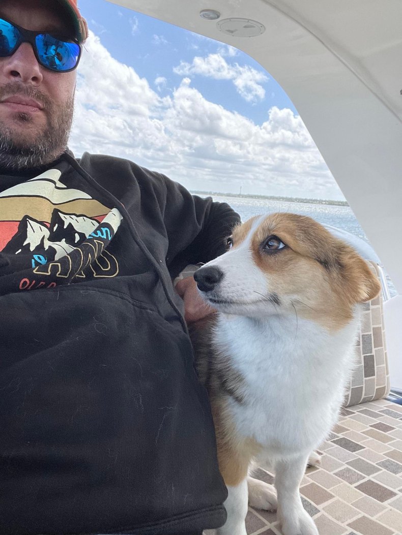 Corgi