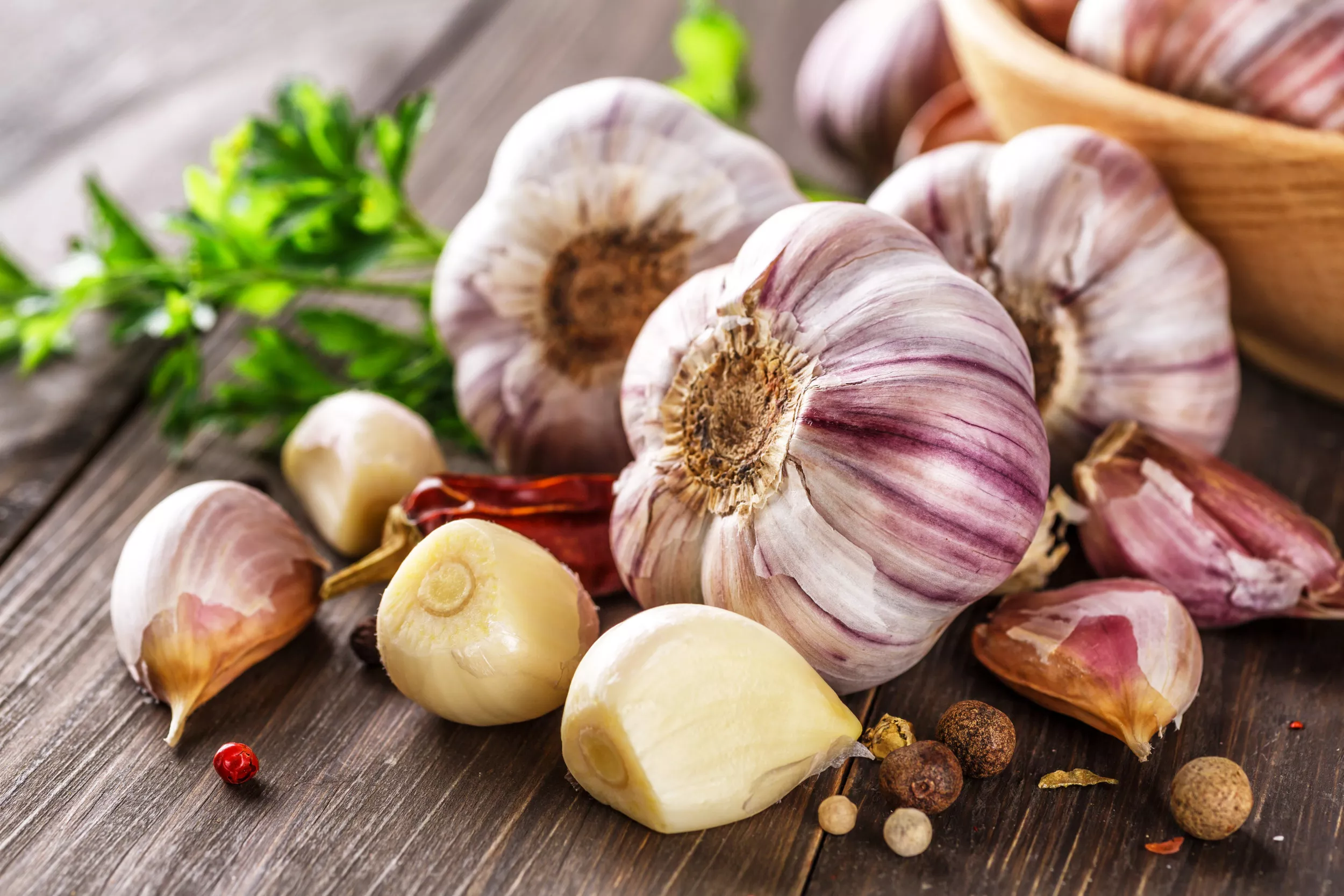 How to Plant Garlic: Tips for Growing, Watering and Choosing the Right Soil - Vimarsana News