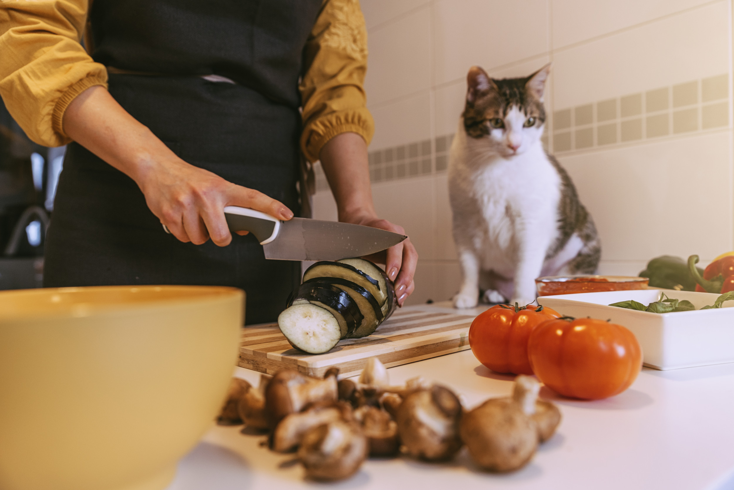 Confused Cat Crying As Owner Chops Onions Has Internet in Hysterics