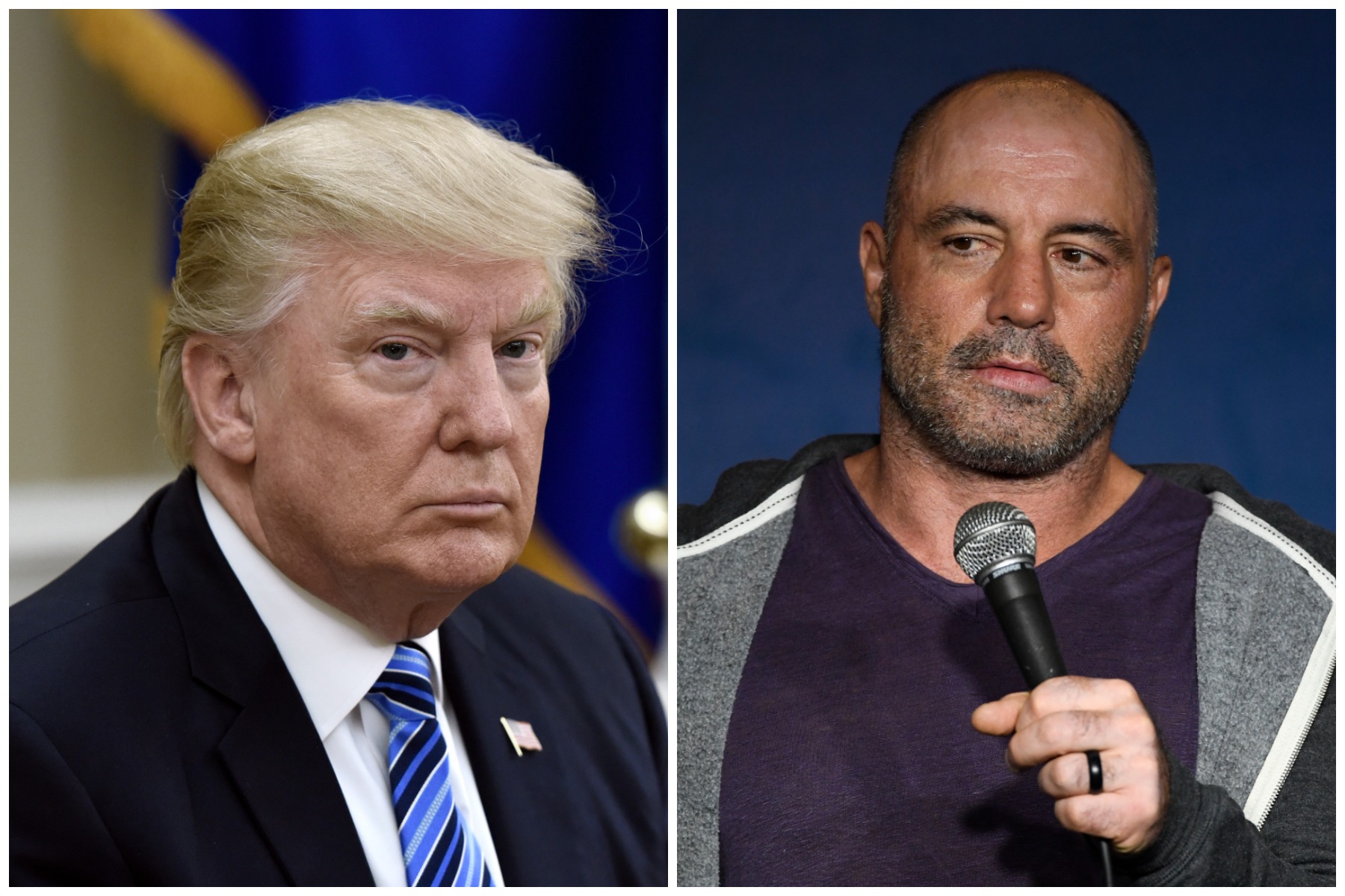 Joe Rogan Addresses Donald Trump Podcast Appearance Rumors