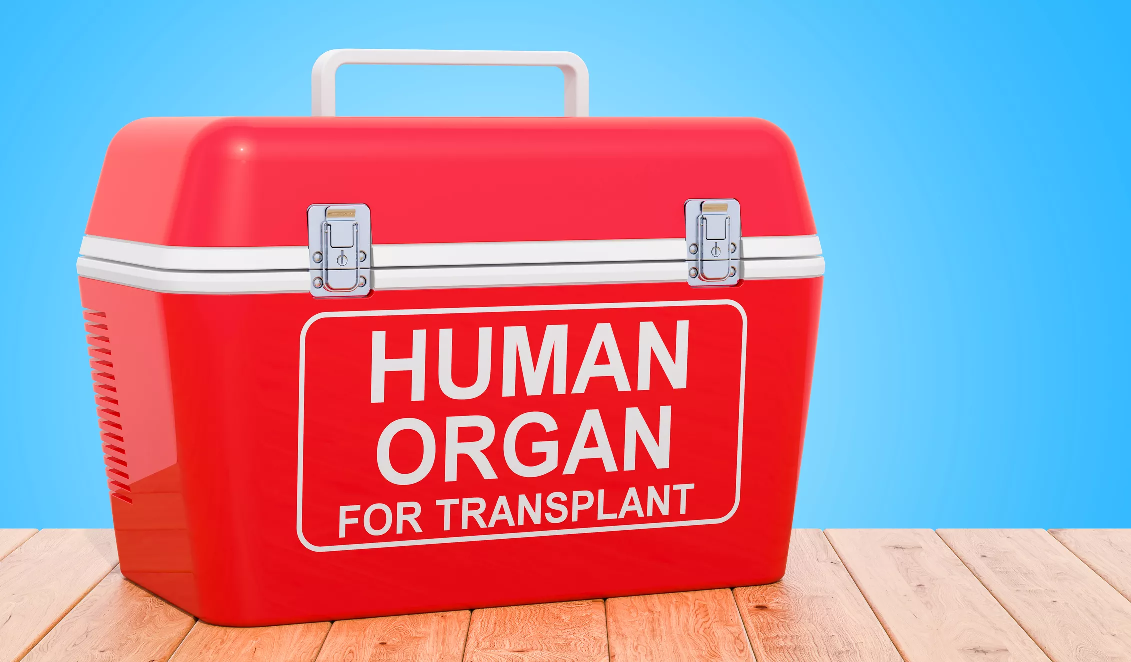 Doctors Take Human Lungs on Flight in Race Against Time to Save Patient - Vimarsana News