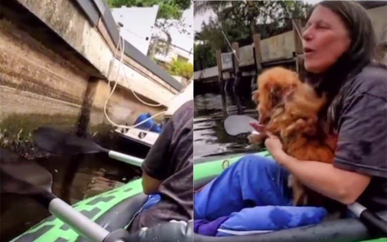 Pet detective Jamie Katz rescuing a dog.
