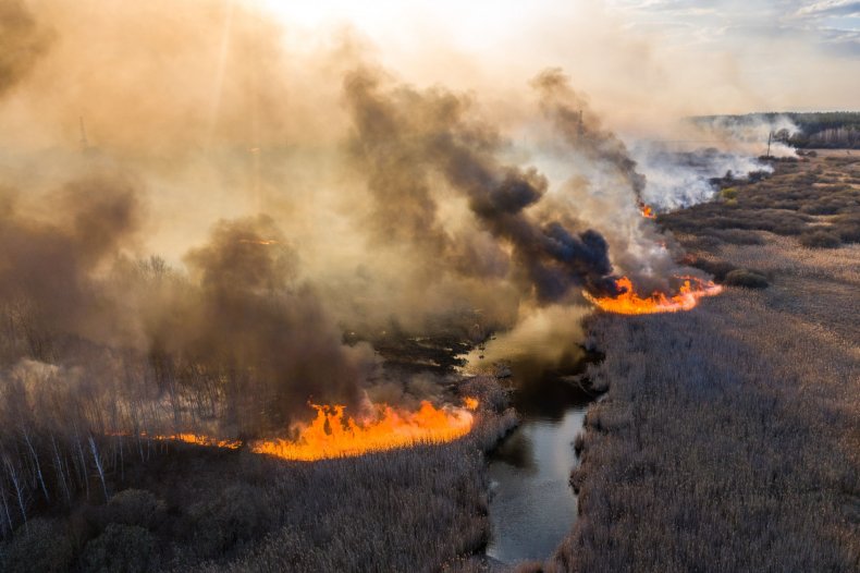 chernobyl wildfire 2020