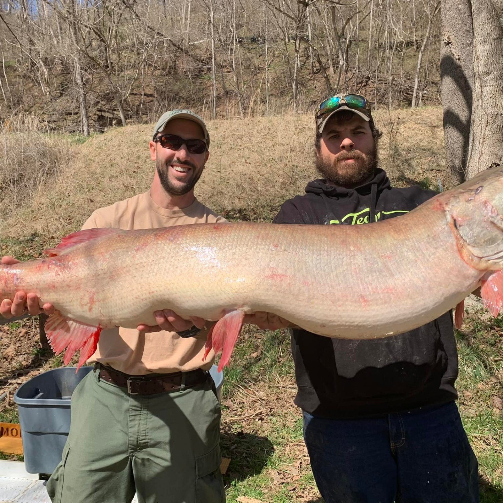 West Virginia Angler Catches Record-Breaking Muskie, Throws It Back in Lake