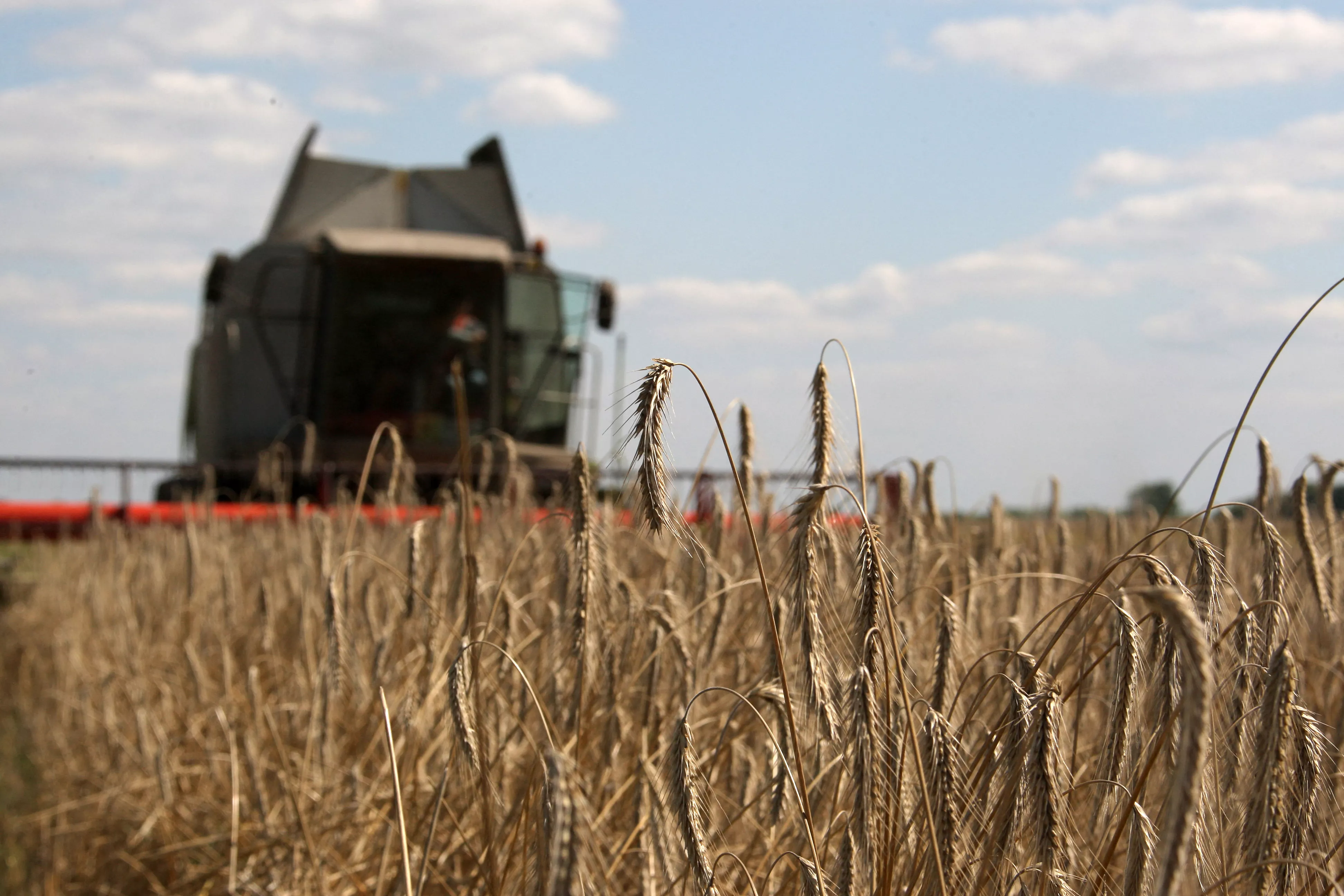 These Everyday Food Item Prices Are Set To Rise Because of Ukraine War - Vimarsana News