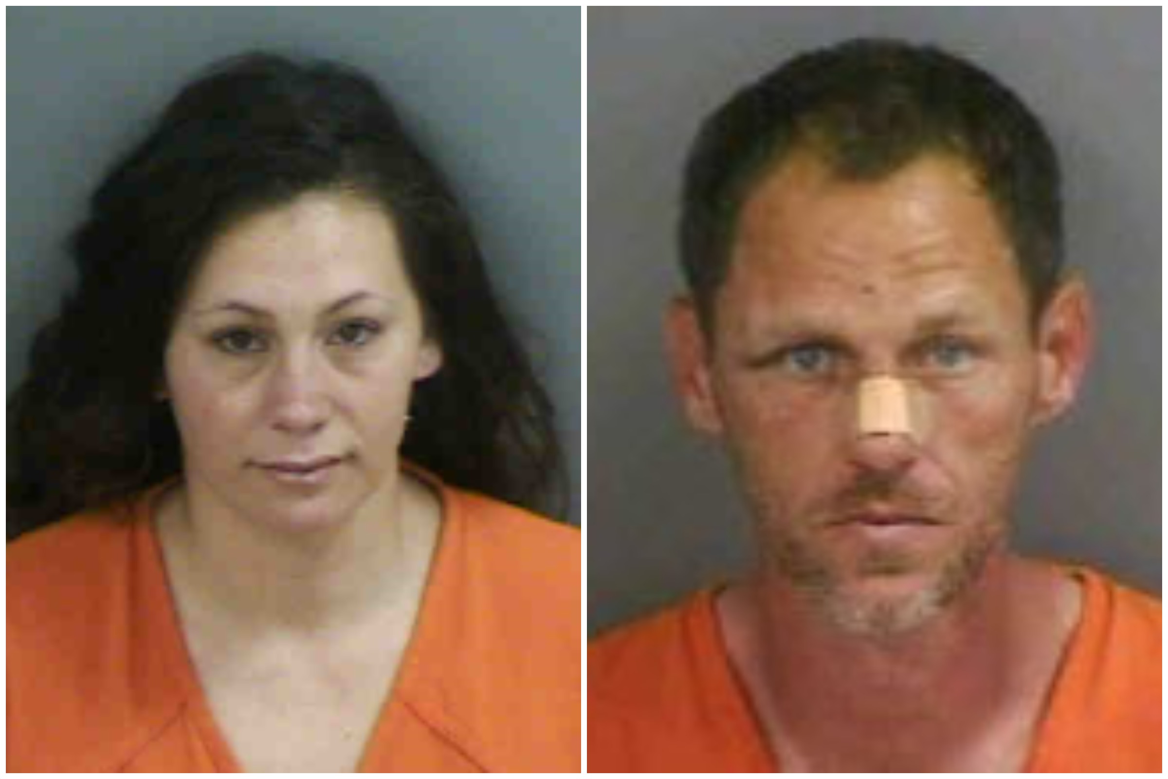 Florida Bride and Groom Arrested After Fight on Wedding Night: Police