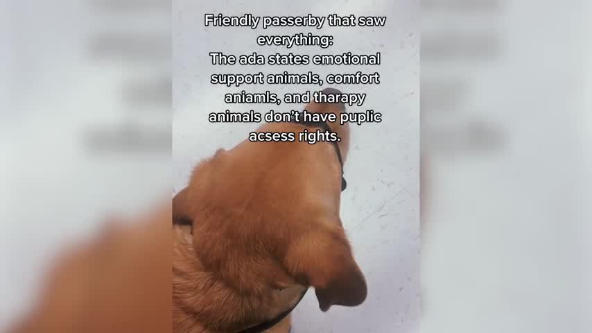 Are Emotional Support Dogs Covered Under Ada