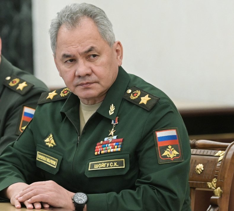 Russian Defence Minister Sergei Shoigu