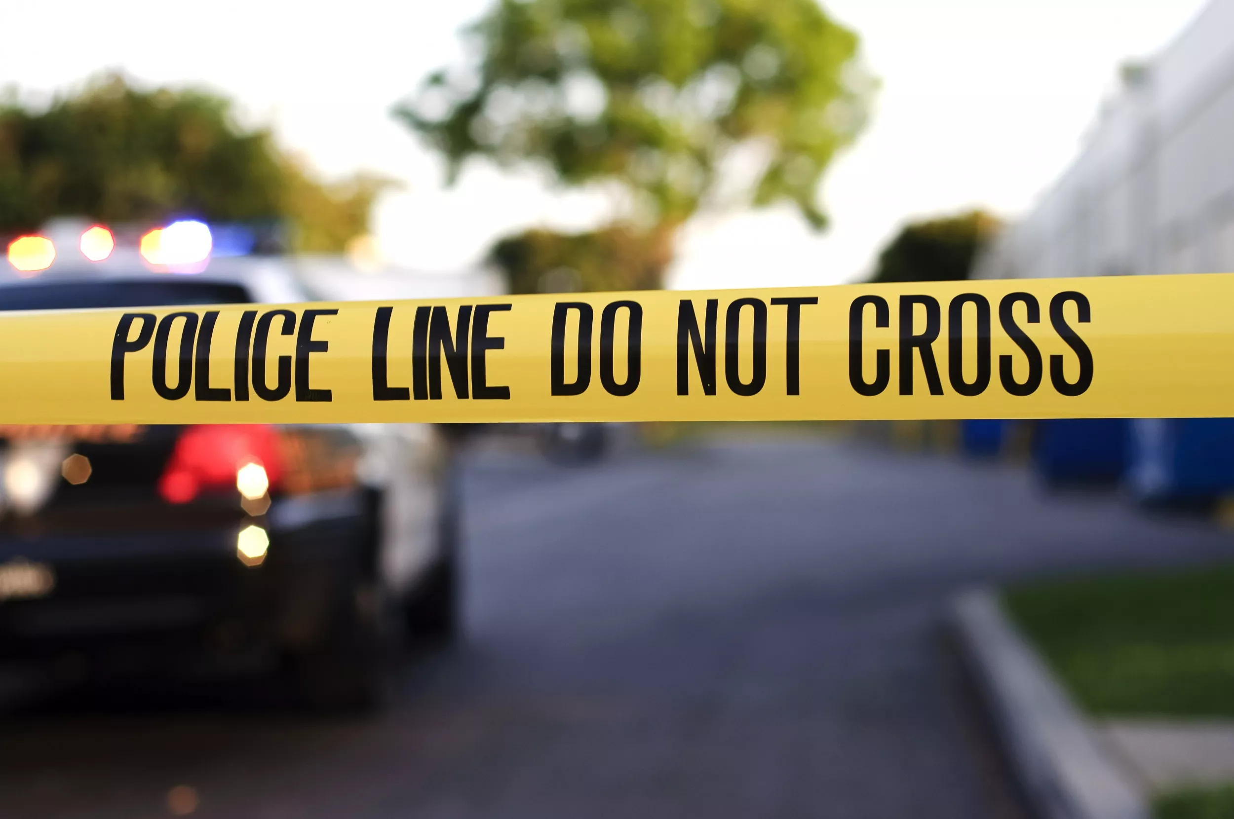 Man Finds Human Remains Under Home While Fixing Plumbing - Vimarsana News
