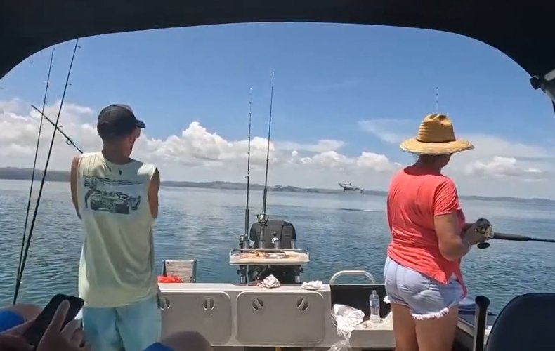 Great white shark leaps from water